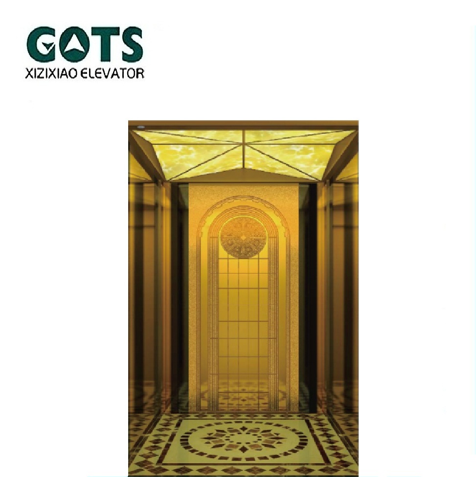 Passenger elevator Gots Elevator Co,ltd